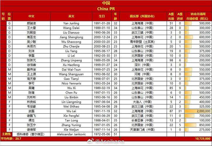 02年世界杯中国队名单